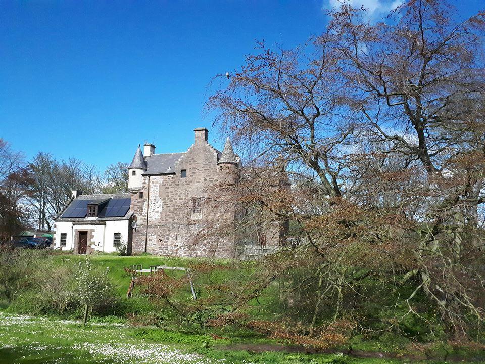 Hallgreen Castle Inverbervie Bagian luar foto
